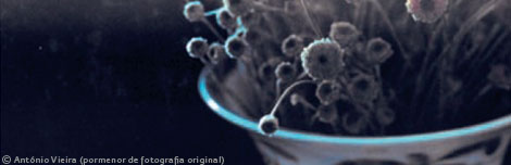 a_bela_adormecida_photo_antonio_vieira_copyrightcnb_2011_2012_detalhe